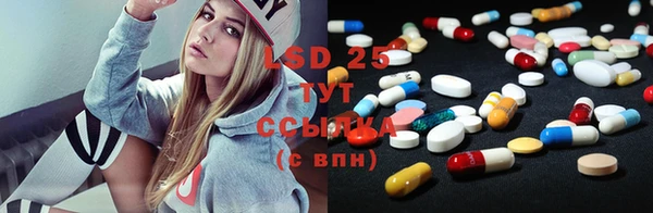 амф Новодвинск