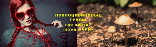 скорость Новозыбков