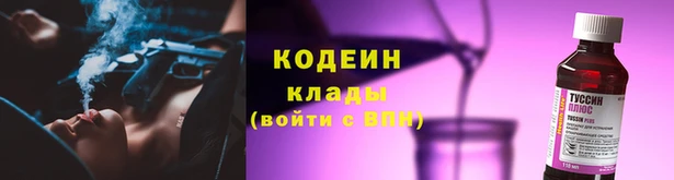 скорость Новозыбков