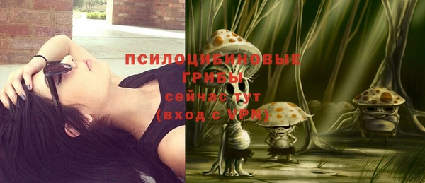 амф Новодвинск