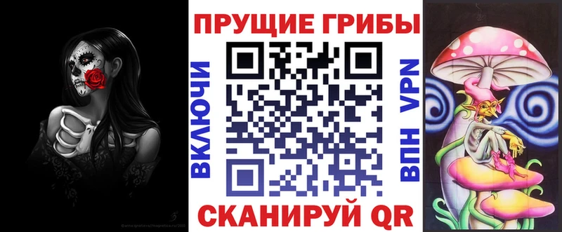 Галлюциногенные грибы Psilocybe  Невельск 